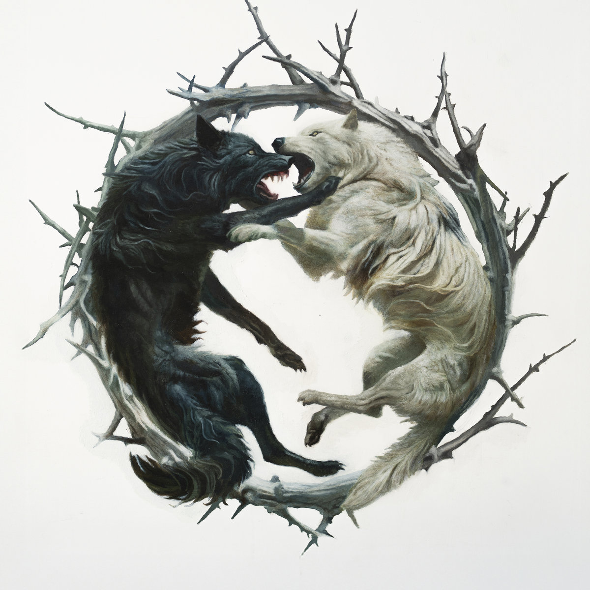 Stellar Circuits I See your Spirit