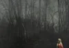 156/Silence Pushes Metalcore Beyond Its Boundaries on From A Distance